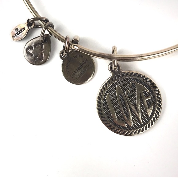 Alex & Ani Love Bracelet 2014 Gold-Tone - Picture 6 of 7
